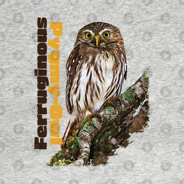 Ferruginous Pygmy-Owl color by Ripples of Time